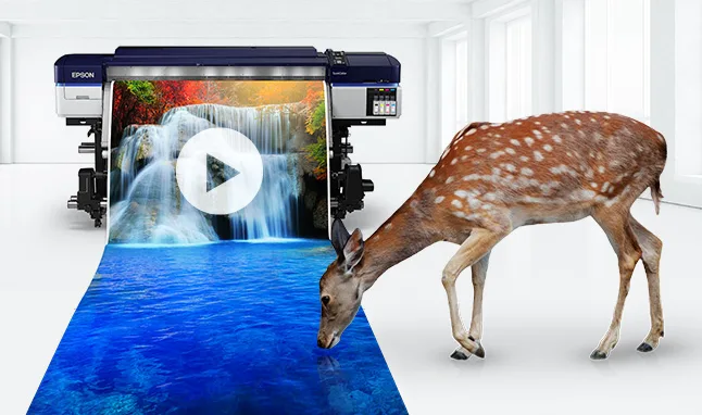 Epson gs3