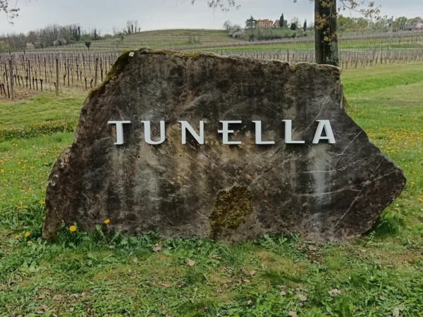 Insegna "Tunella" incisa su un masso di pietra in mezzo ai vigneti