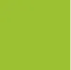 Colore Verde Acido