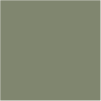 Colore Verde Army