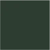 Colore Verde Foresta