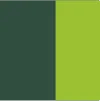 Colore Verde/Verde Acido