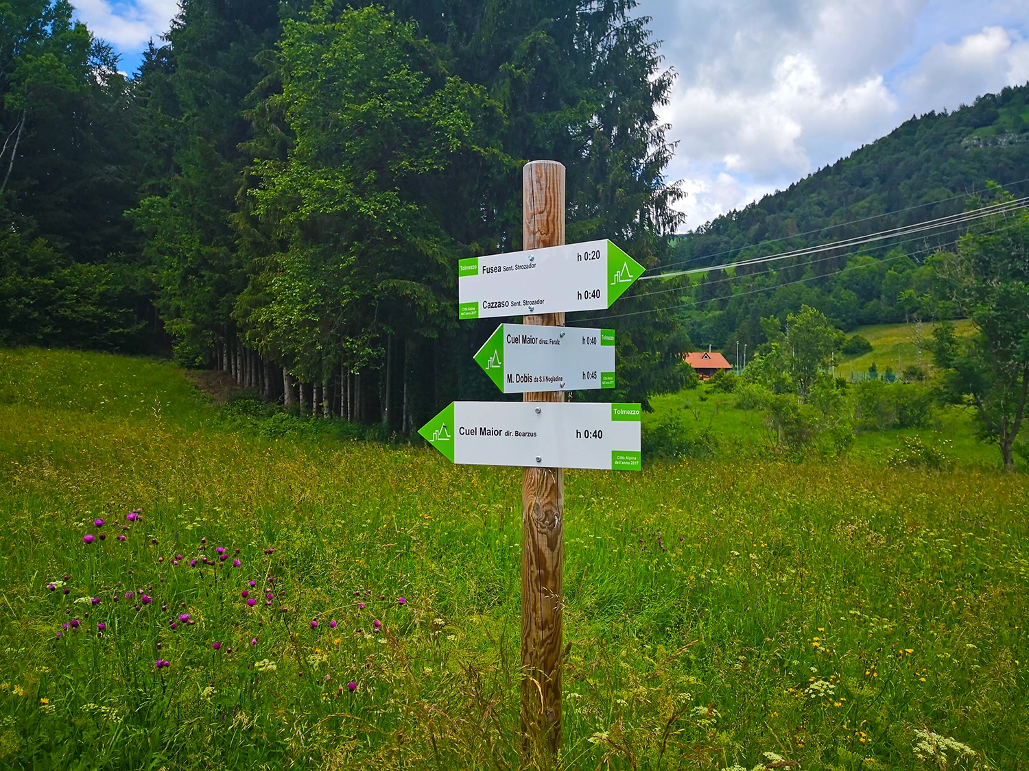Segnaletica dobis cai Tolmezzo