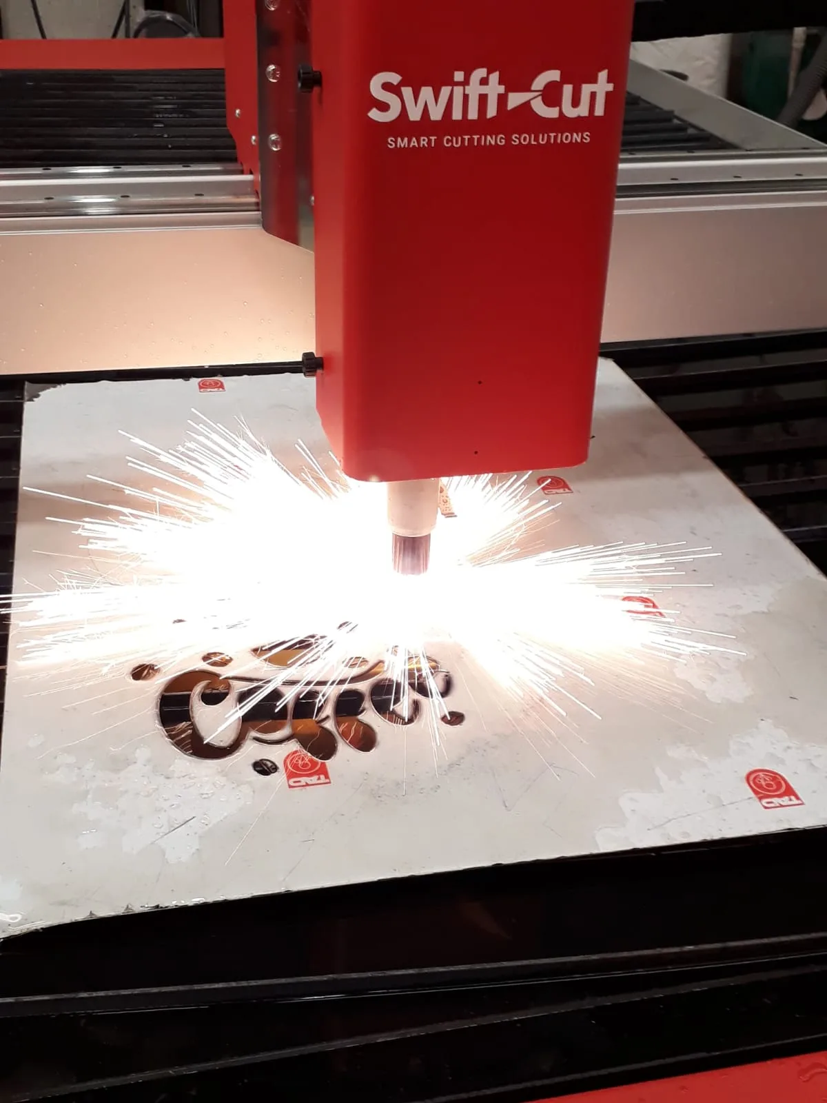 TAGLIO PLASMA FRIULI VENEZIA GIULIA